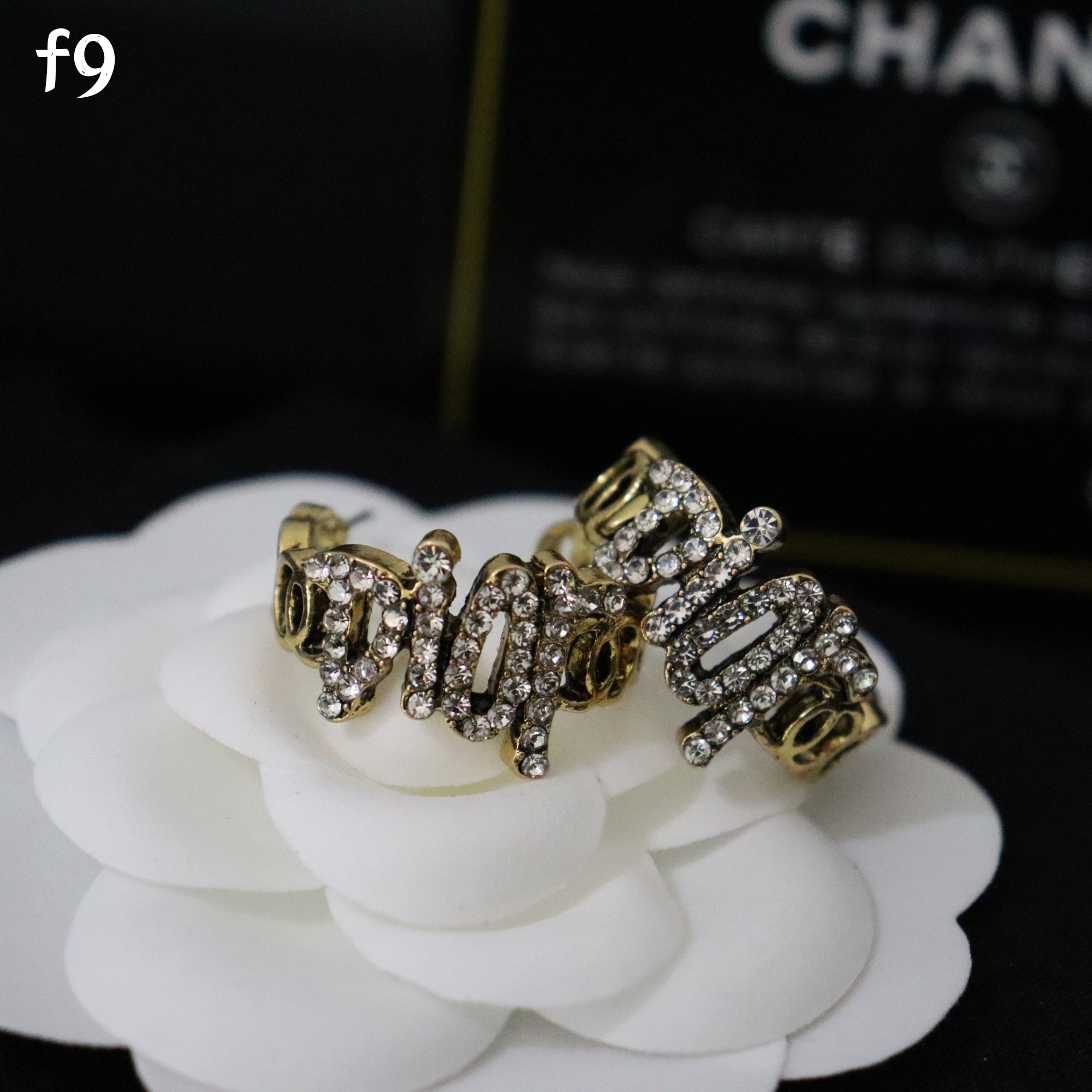 Dior earring 107571