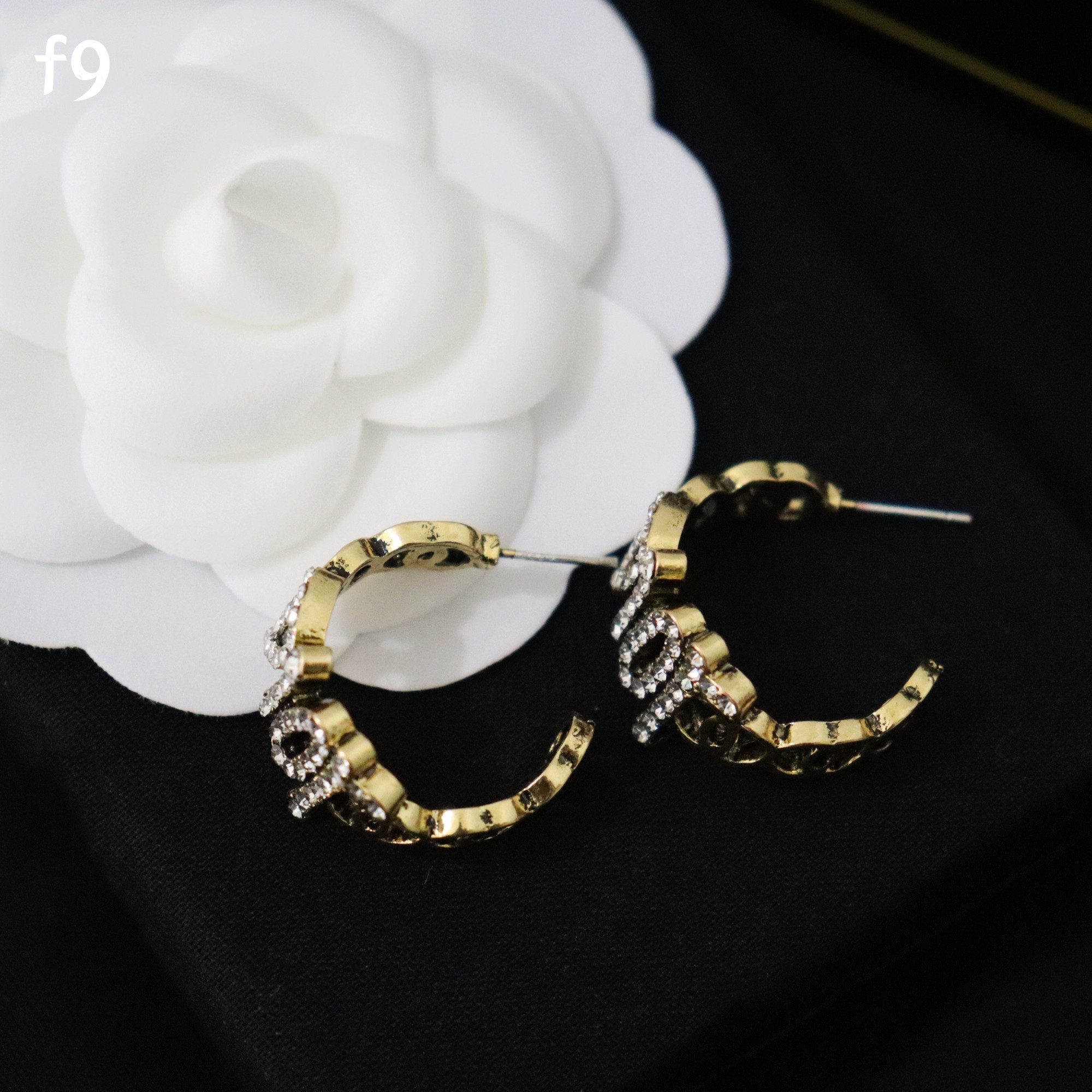 Dior earring 107571