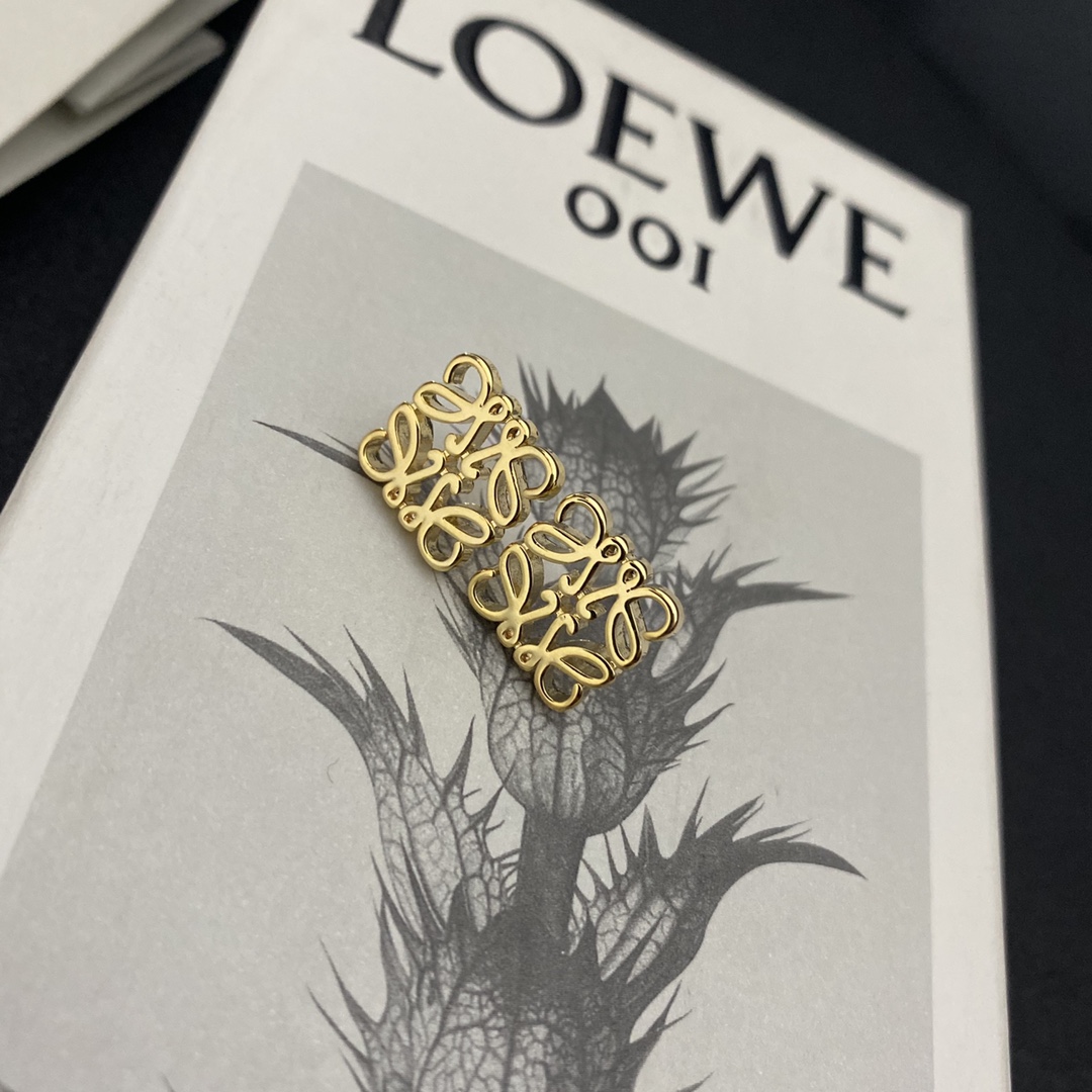 A550  LOEWE earring 104988