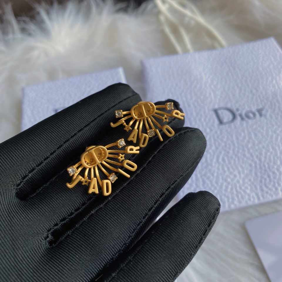 A404 Dior earring 103722