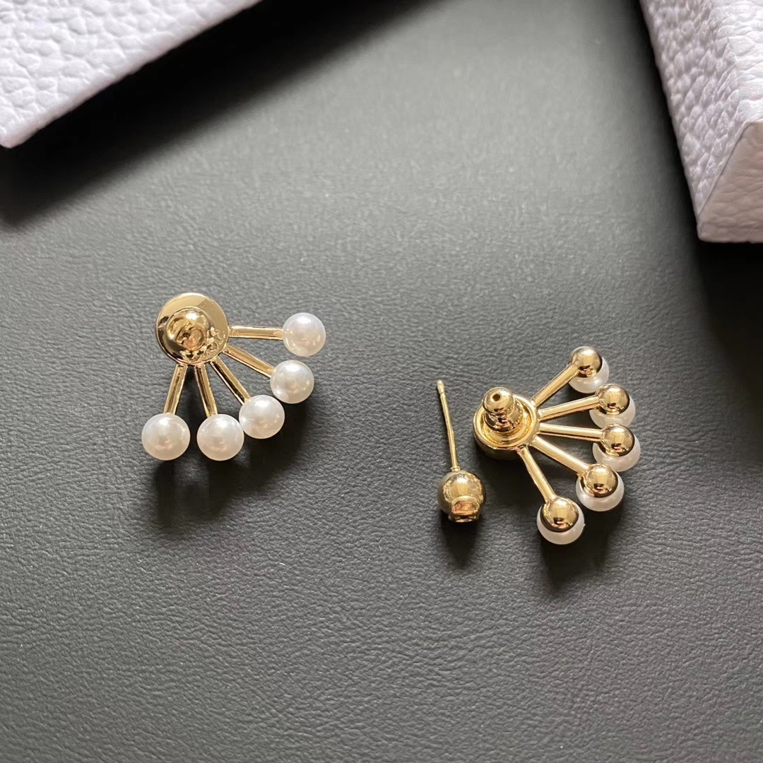 A134 dior earring