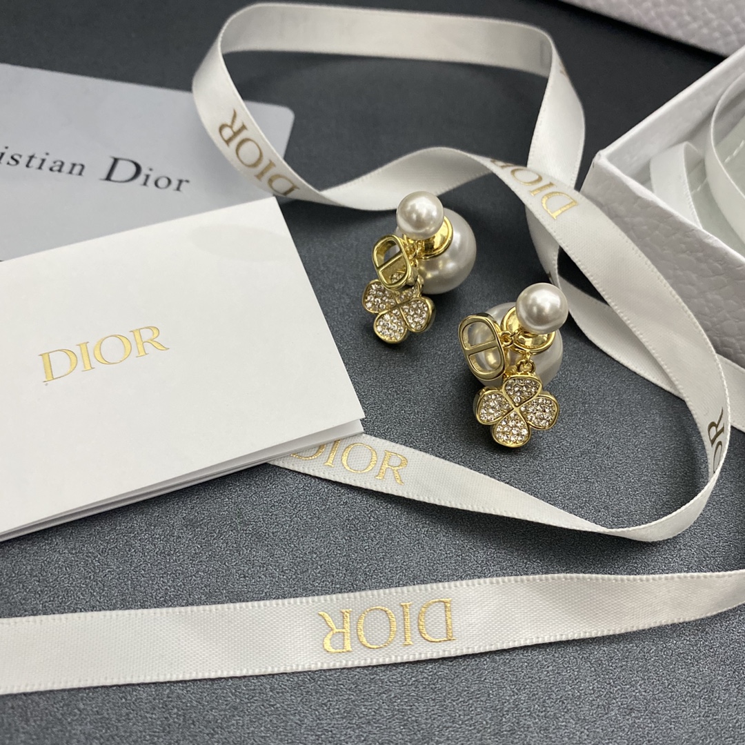 A058 Dior earring 104811