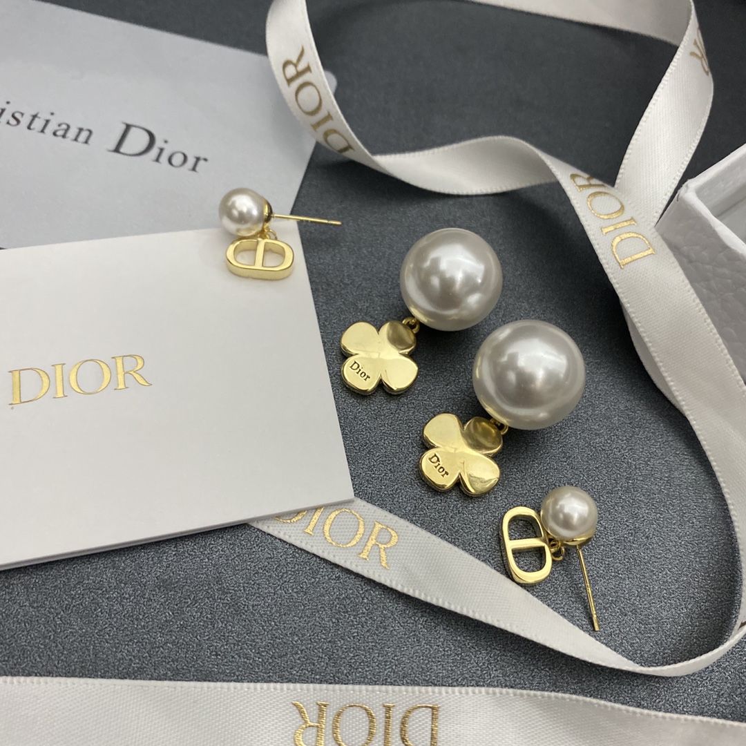 A058 Dior earring 104811