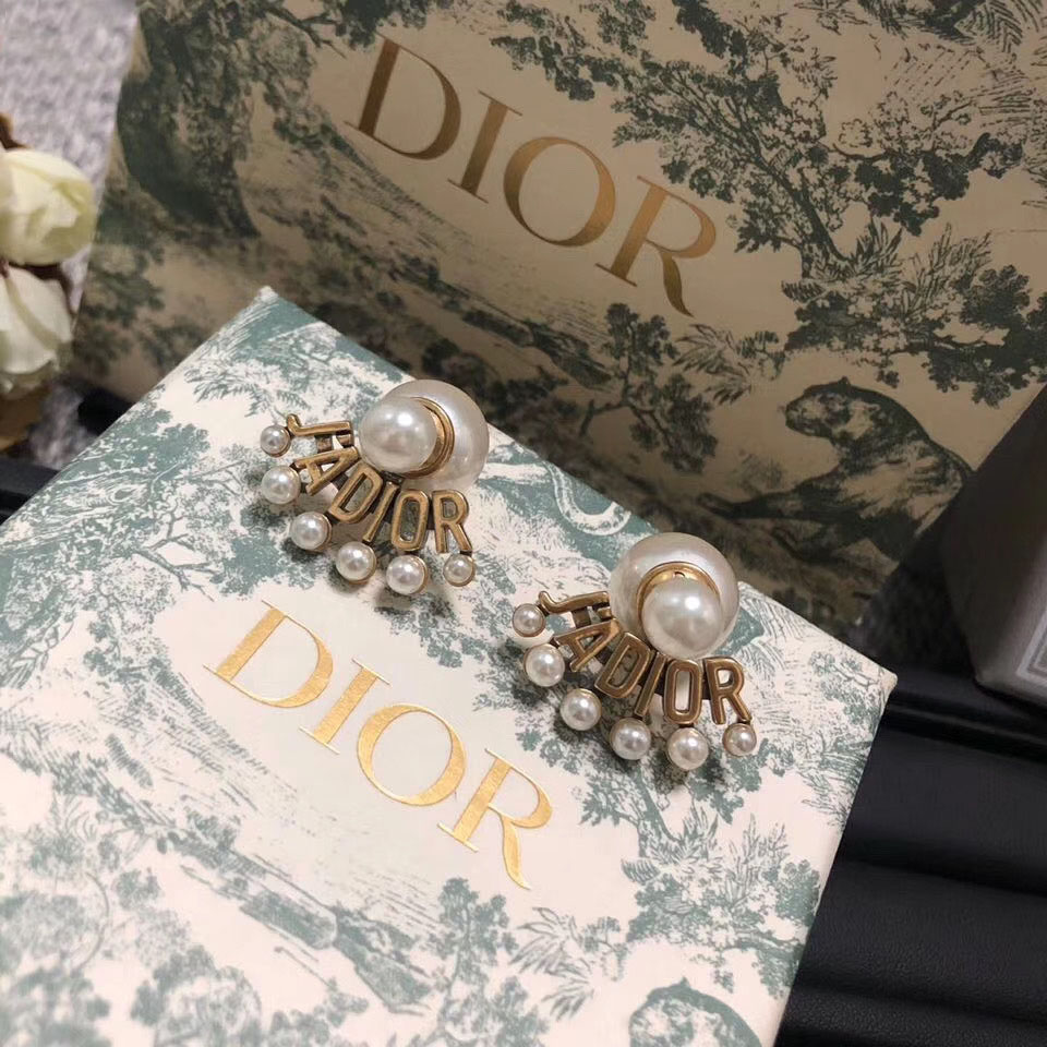 A189 dior earring 107777