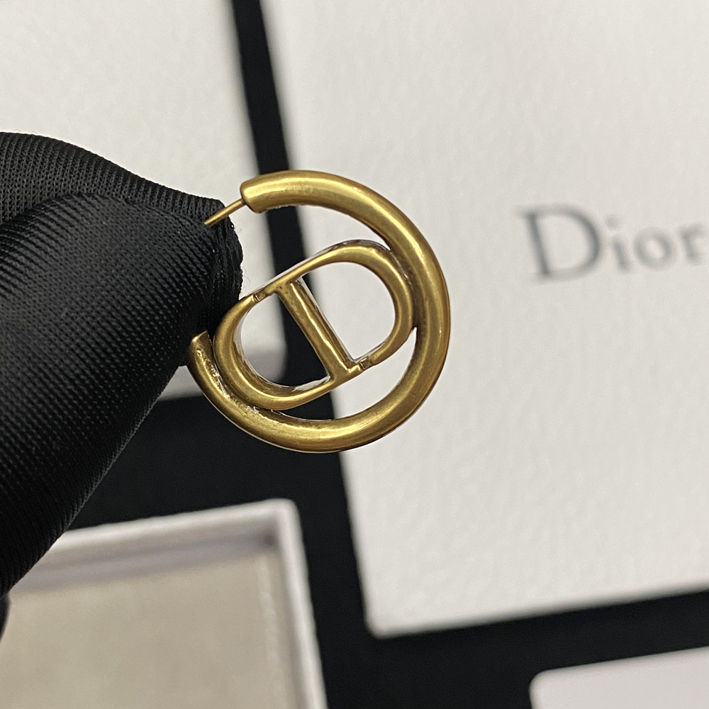 A024 Dior earring 106826