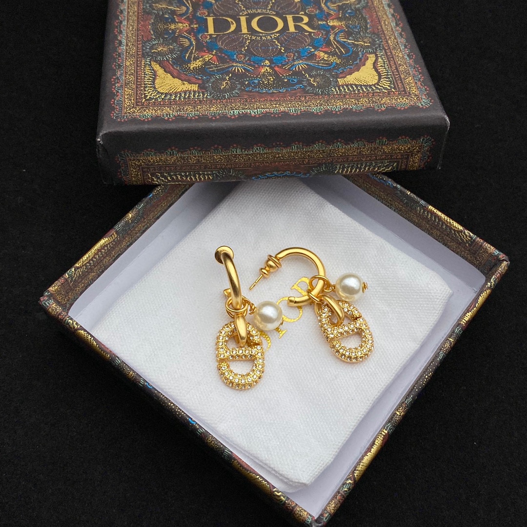 A801  Dior earring 107690