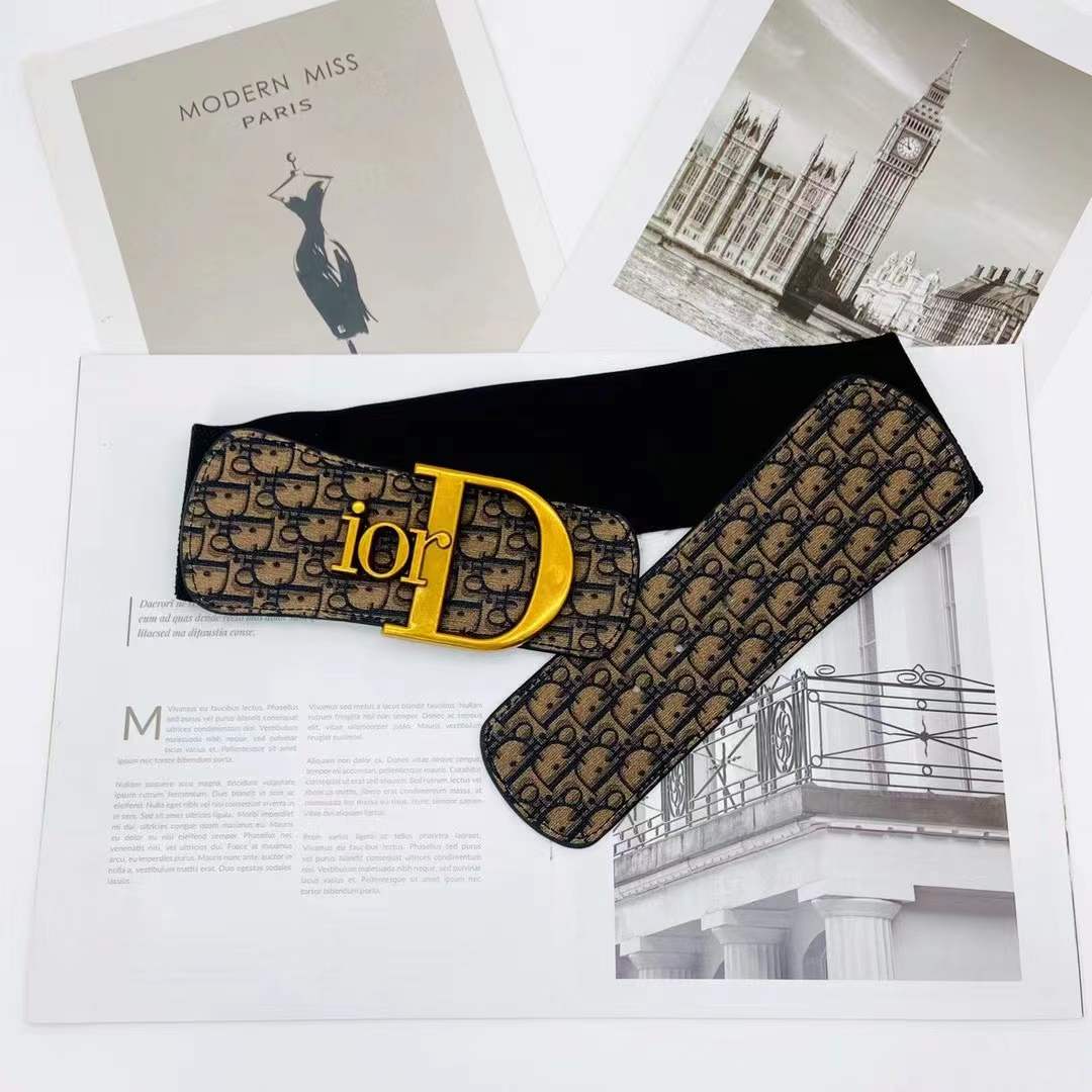 Dior Elastic waist tape/Belt