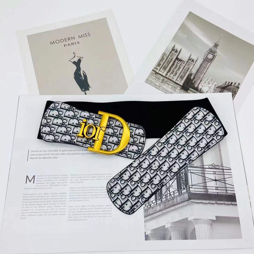 Dior Elastic waist tape/Belt