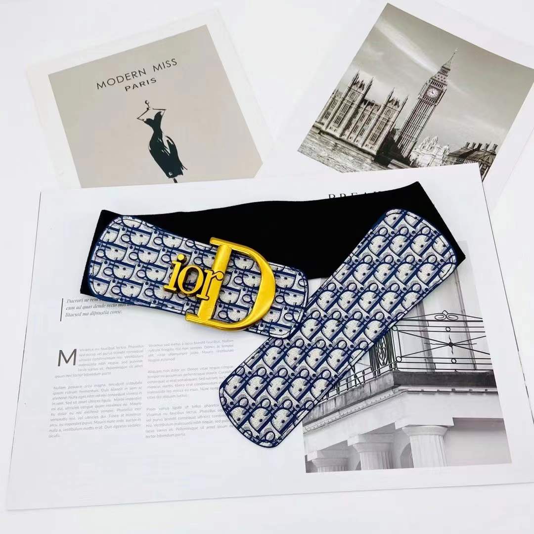 Dior Elastic waist tape/Belt