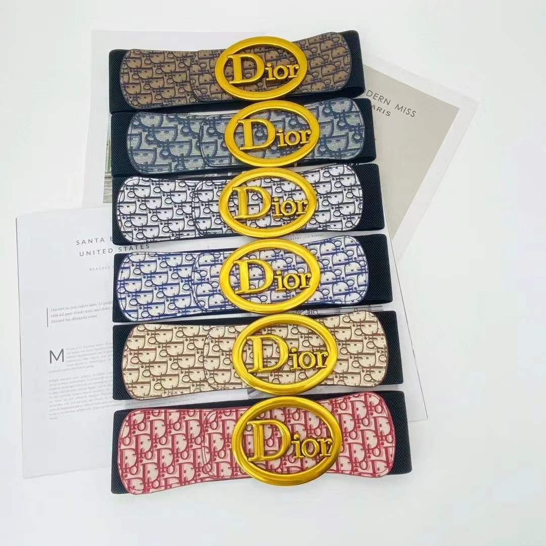 Dior Elastic waist tape/Belt
