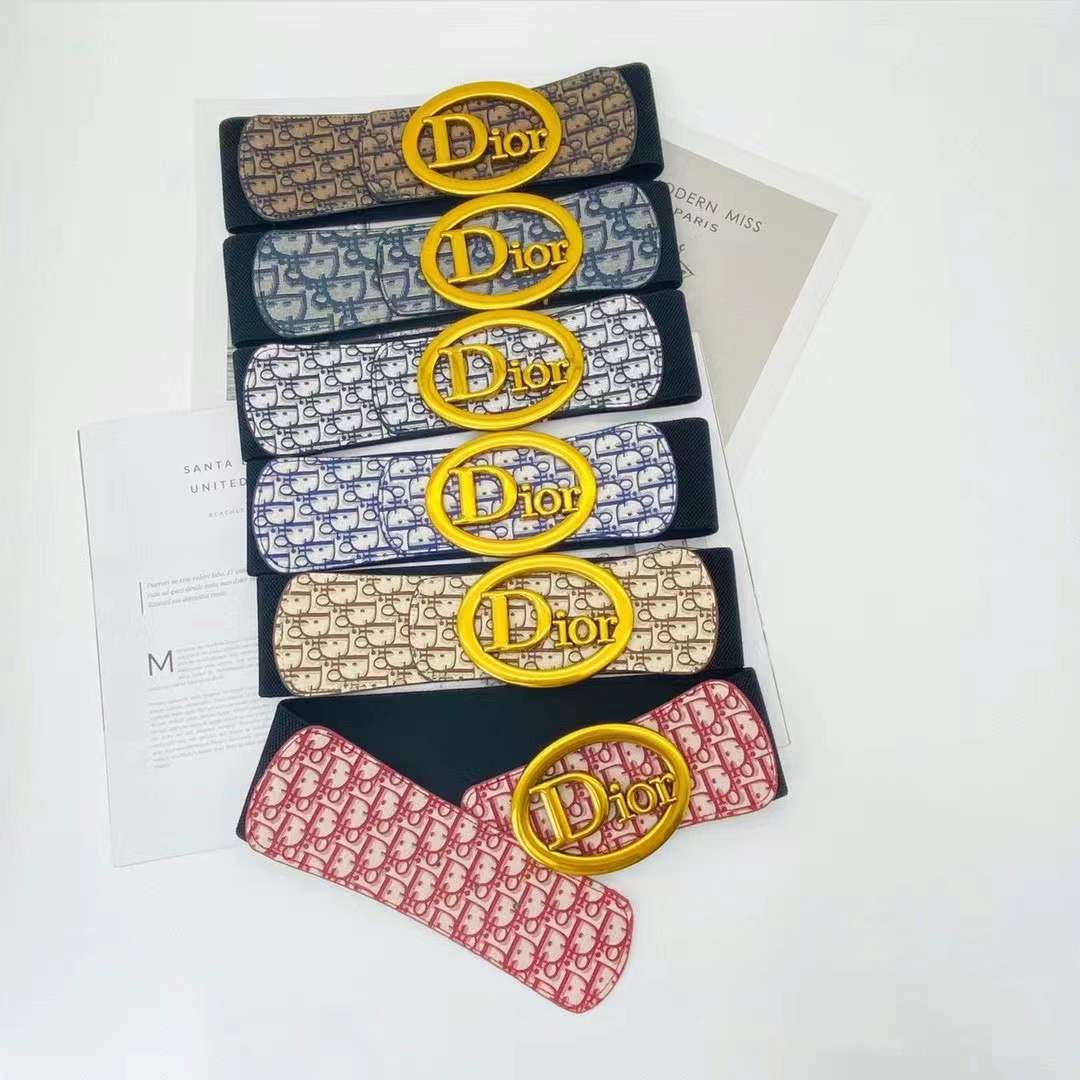 Dior Elastic waist tape/Belt