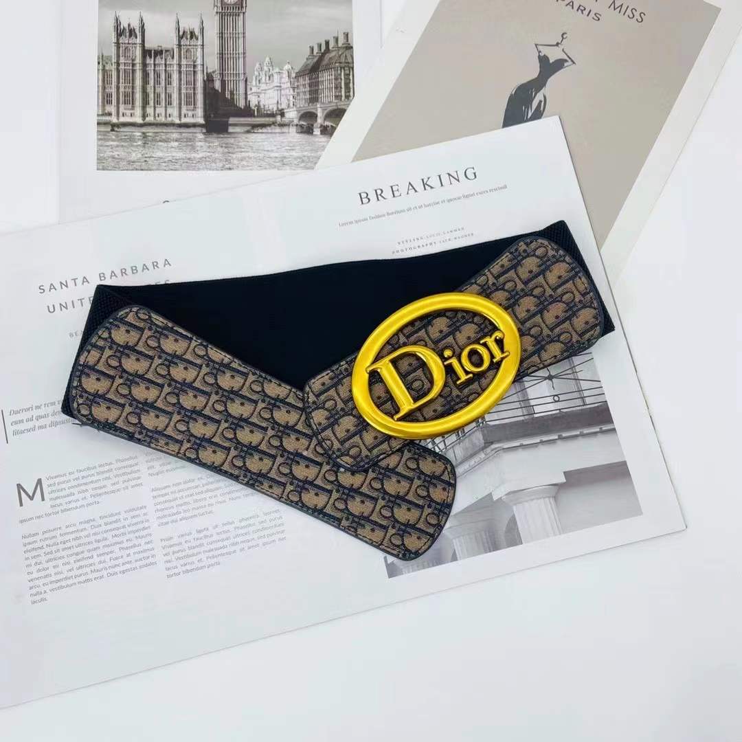 Dior Elastic waist tape/Belt