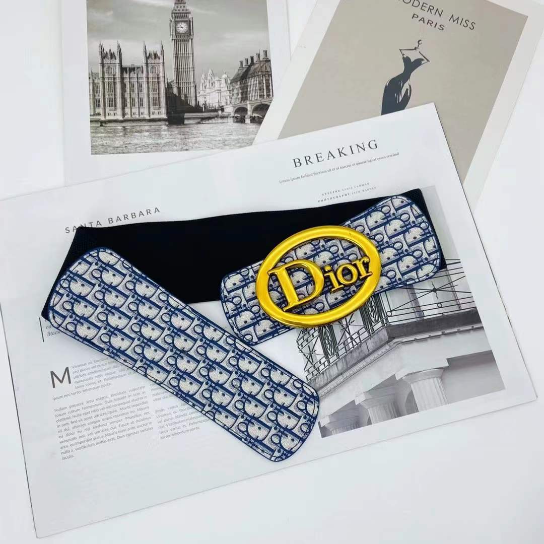 Dior Elastic waist tape/Belt