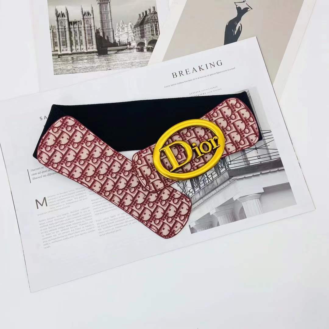 Dior Elastic waist tape/Belt