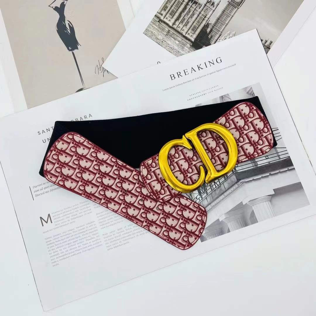 CD Dior Elastic waist tape/Belt