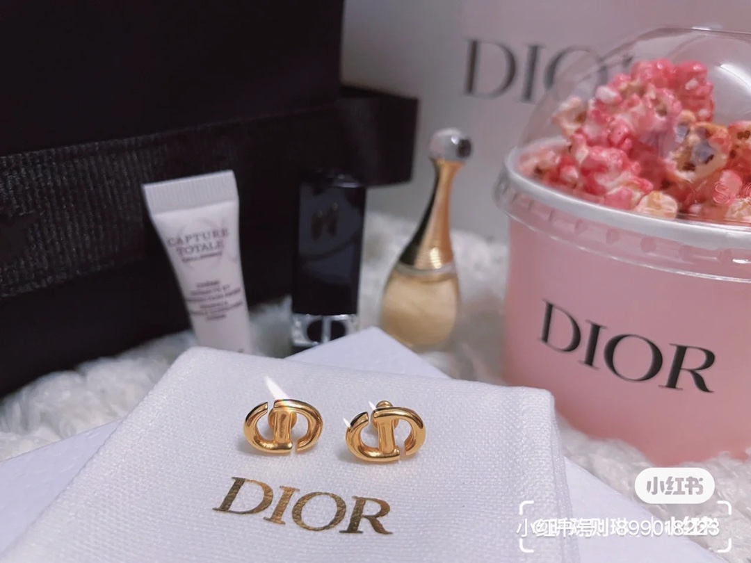 A495 Dior earrings 108550