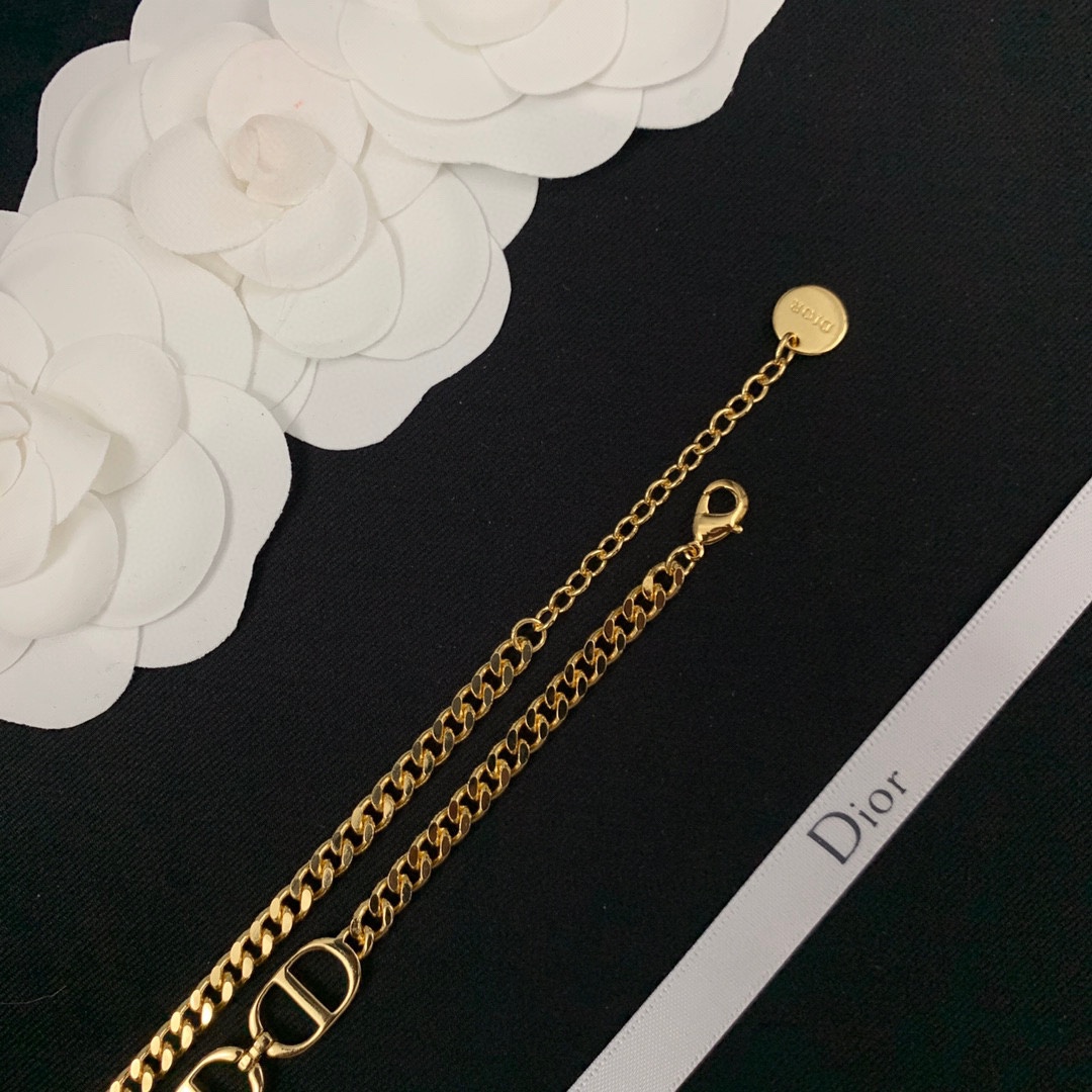 B381 Dior necklace 108506