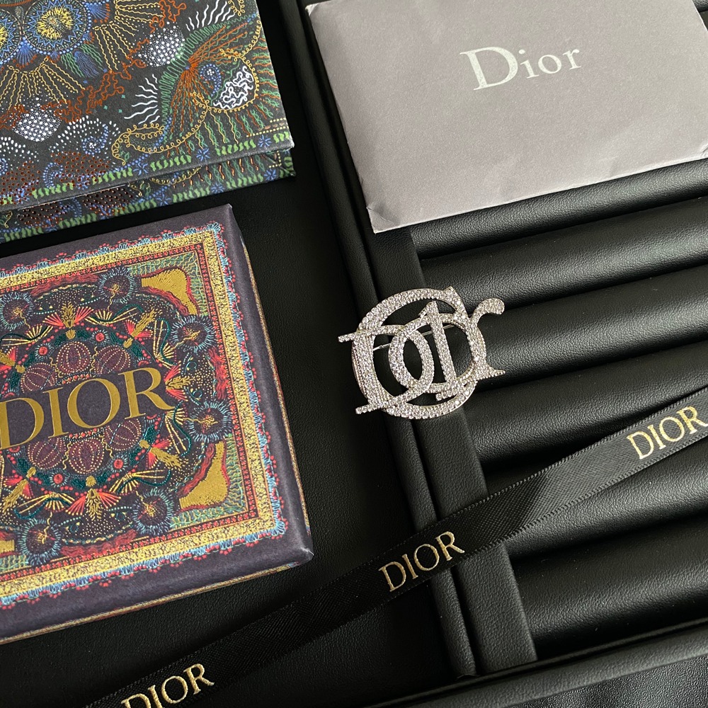 D027 Dior brooch 108321