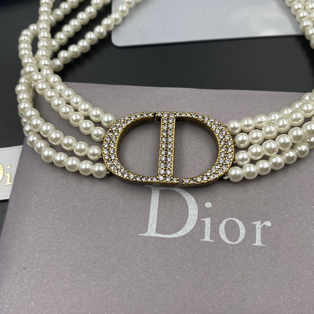B215 Dior choker necklace 108645