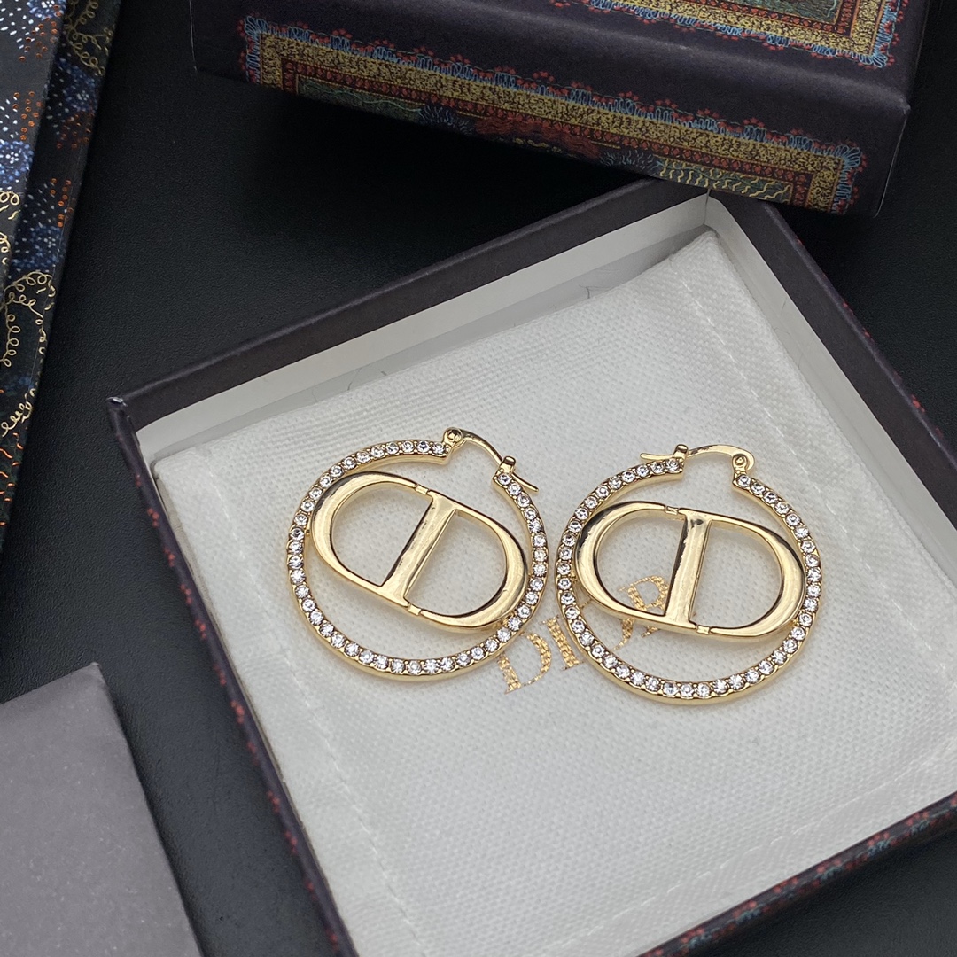 A876 Dior earrings 108876