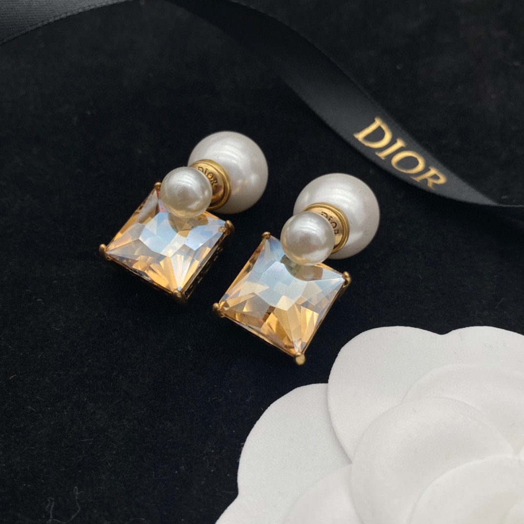 A205 Dior earring 109023