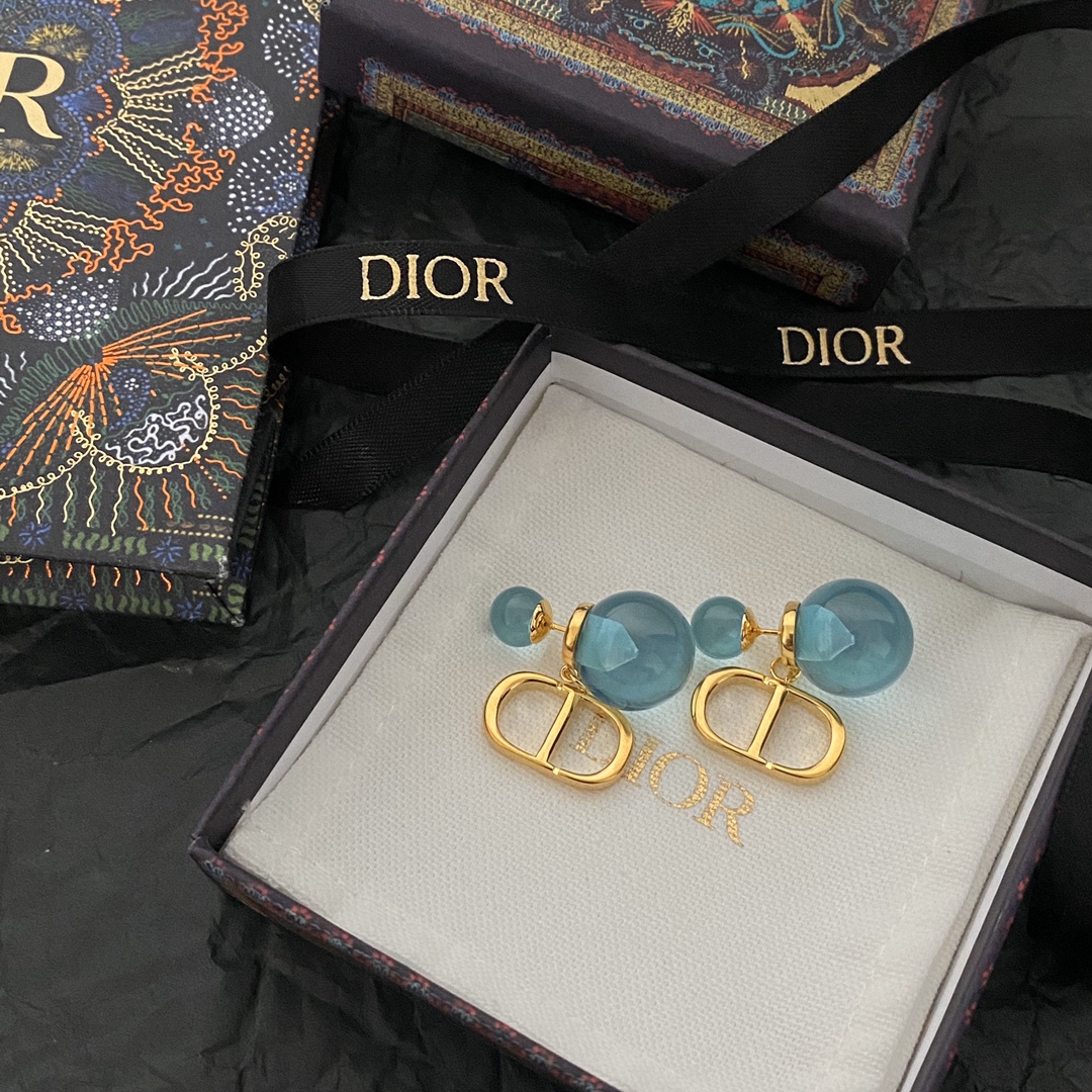 A020 Dior earrings 109428