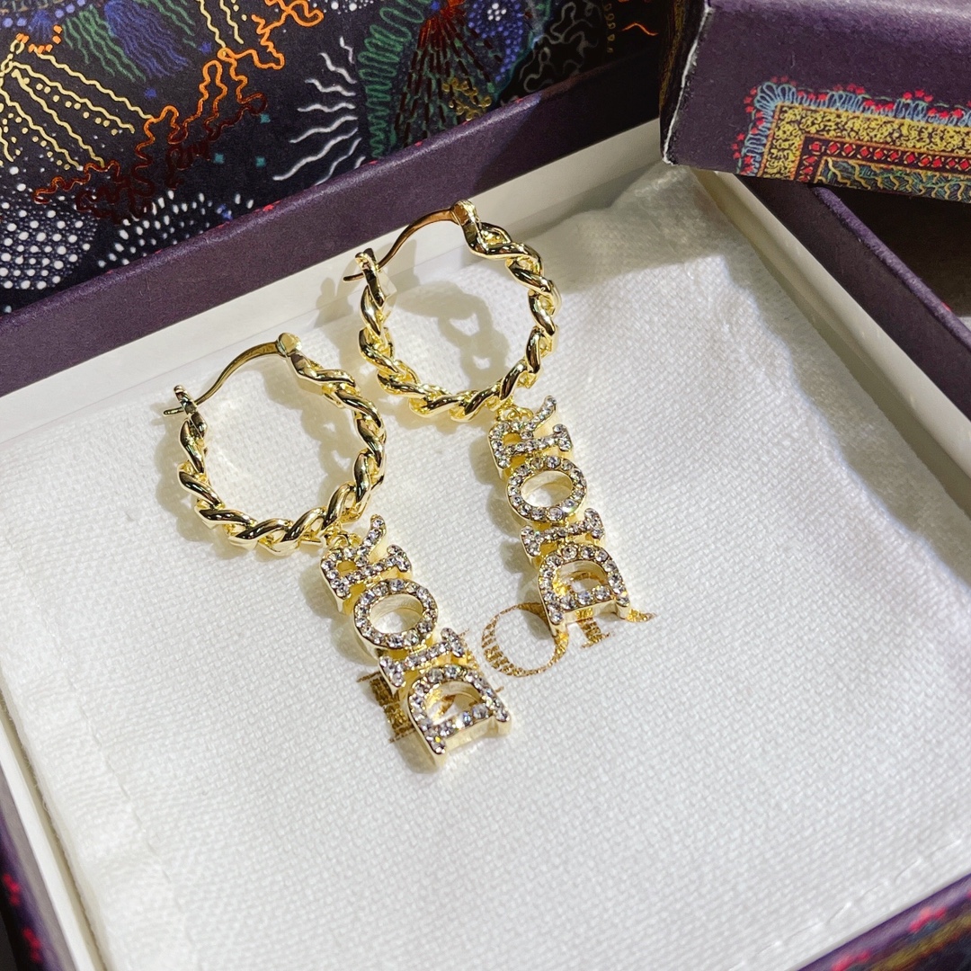 A672   Dior earrings 109543