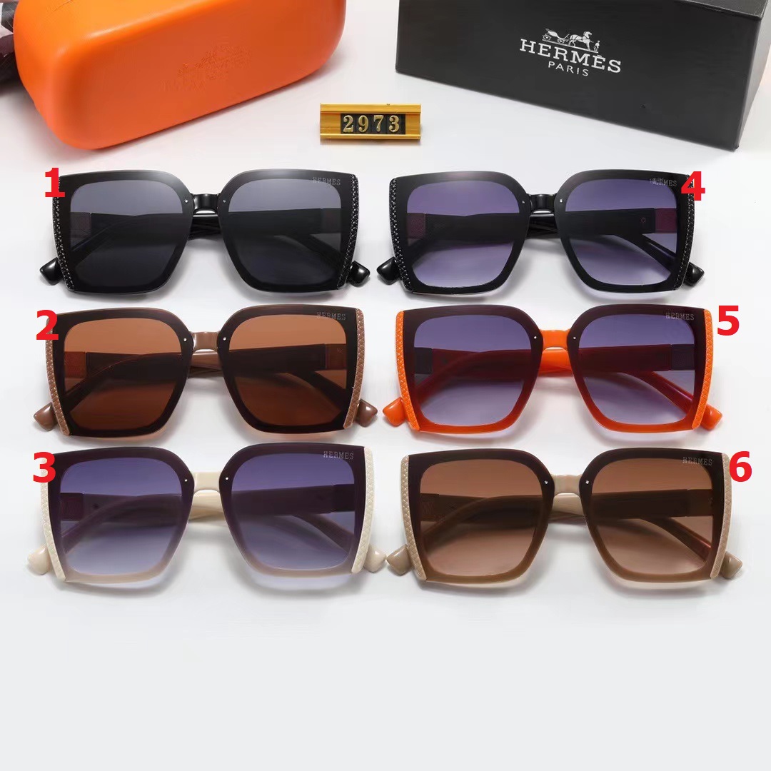 Hermes Sunglasses