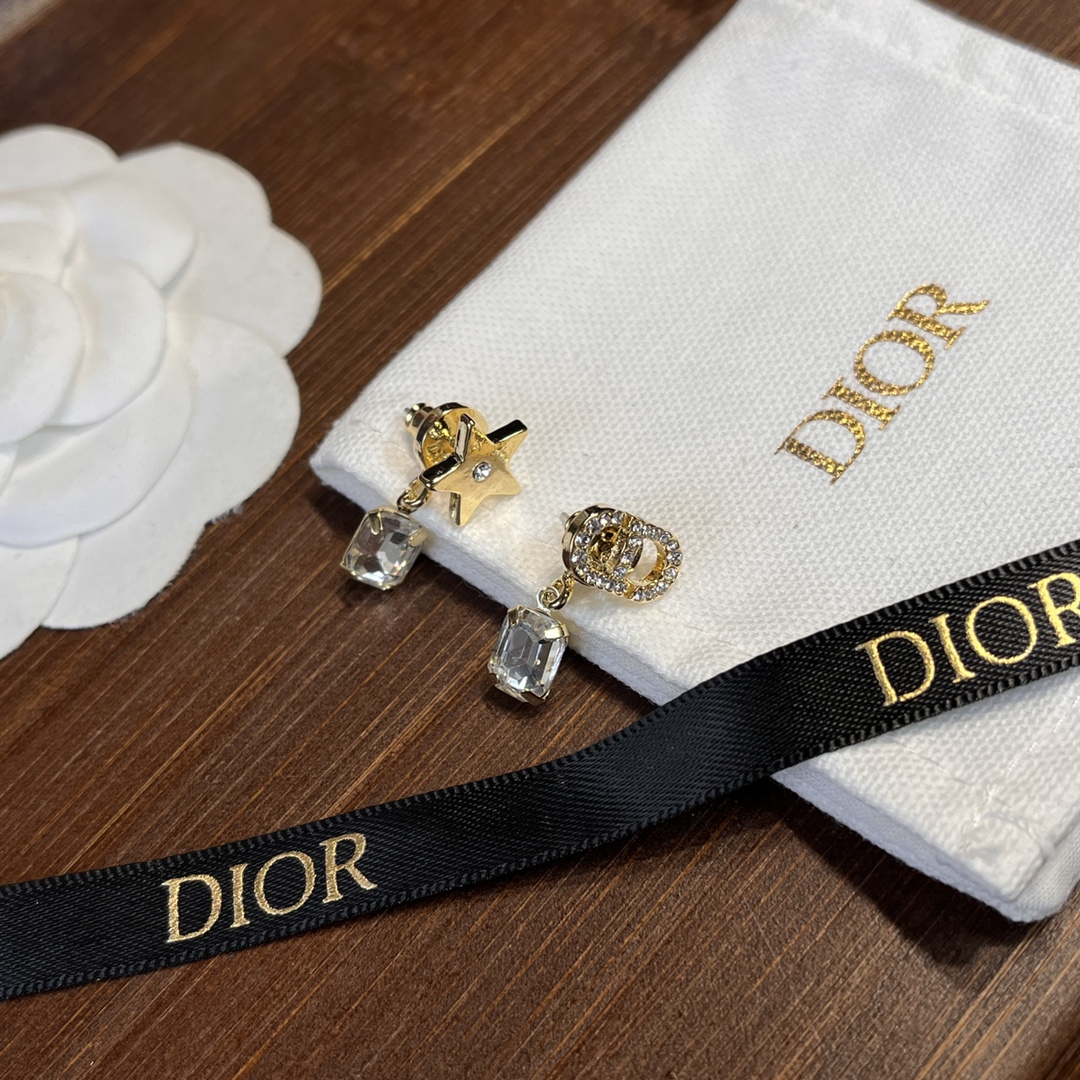 A738 Dior chic earrings 109922