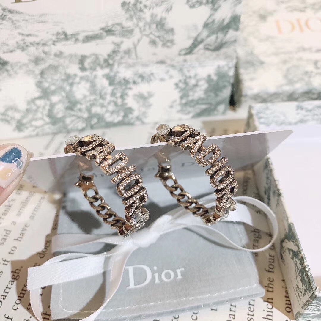 A153 Dior hoop earrings 109926