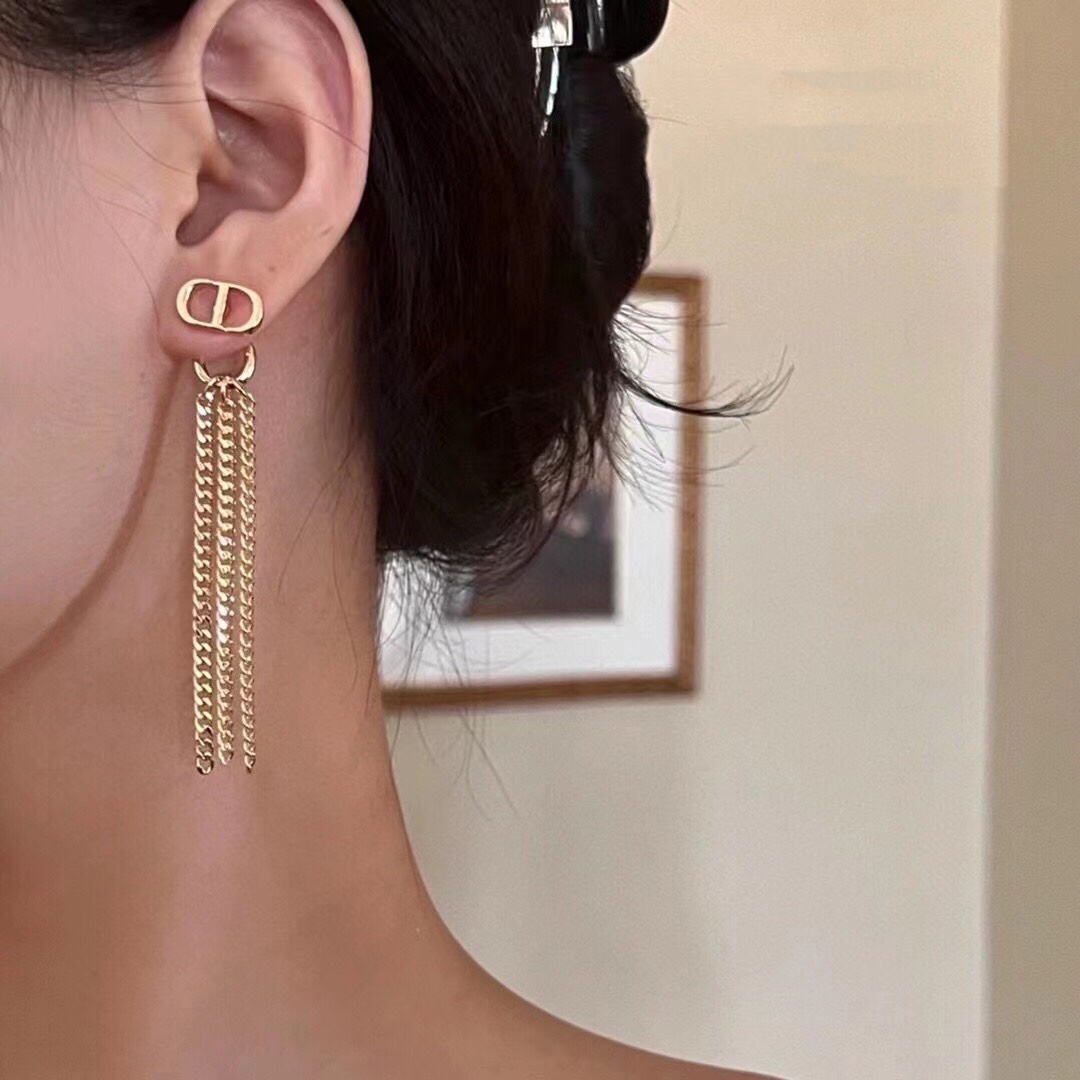 A528  Dior earrings 110063