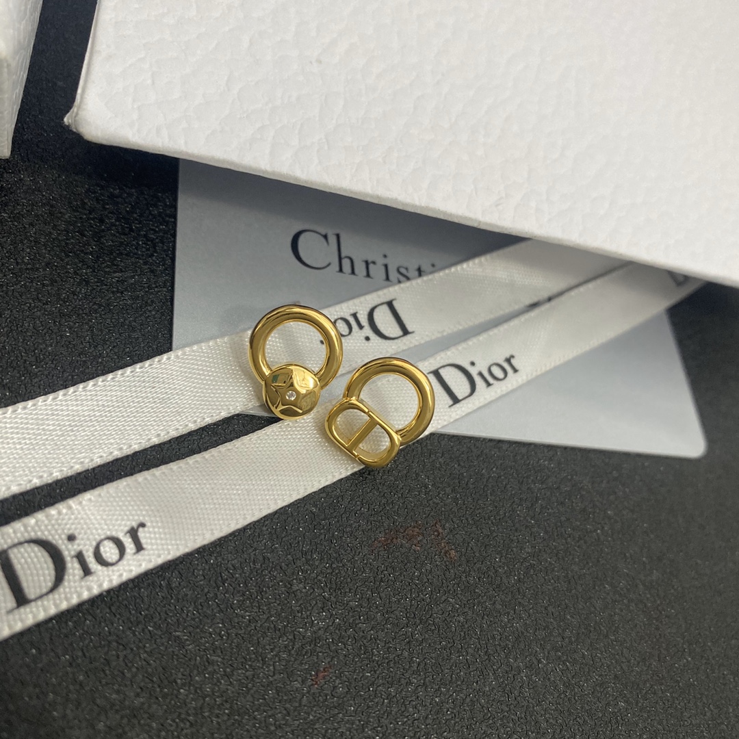 A317 Dior earrings