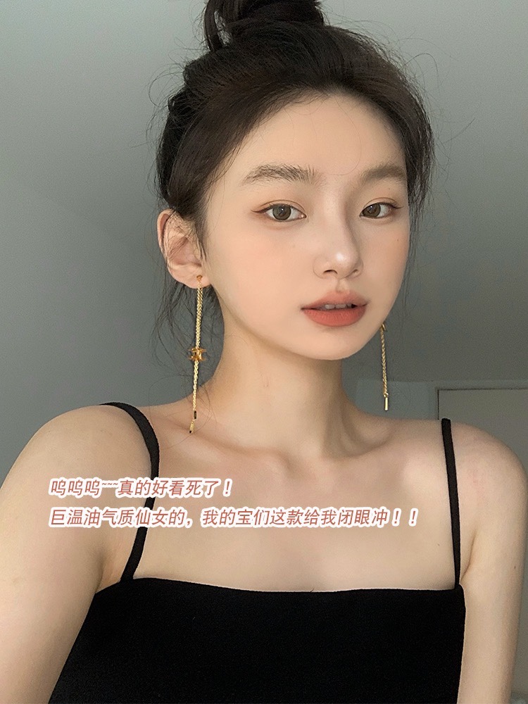 A896  Celine earrings