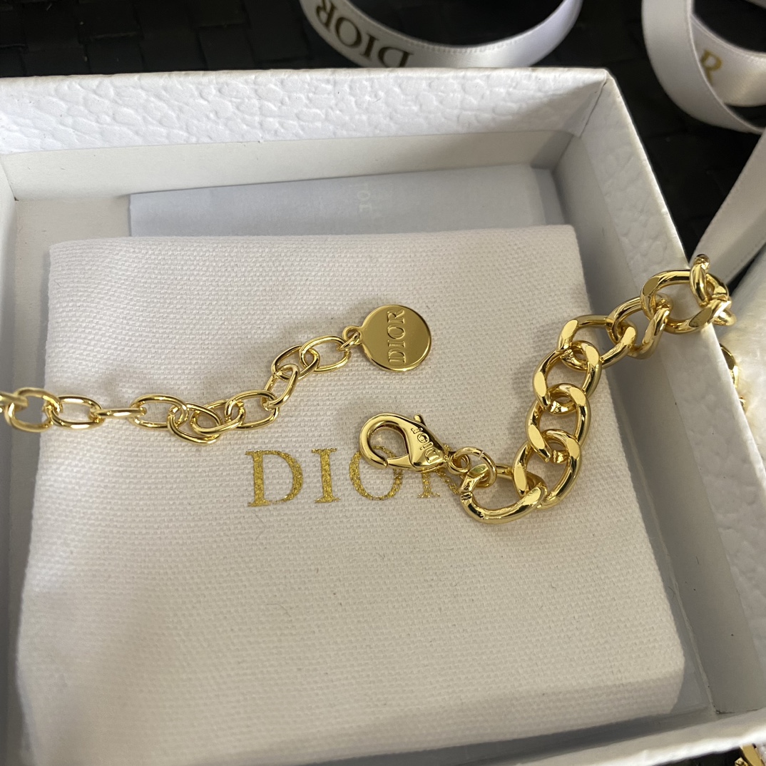 B534 Dior choker necklace