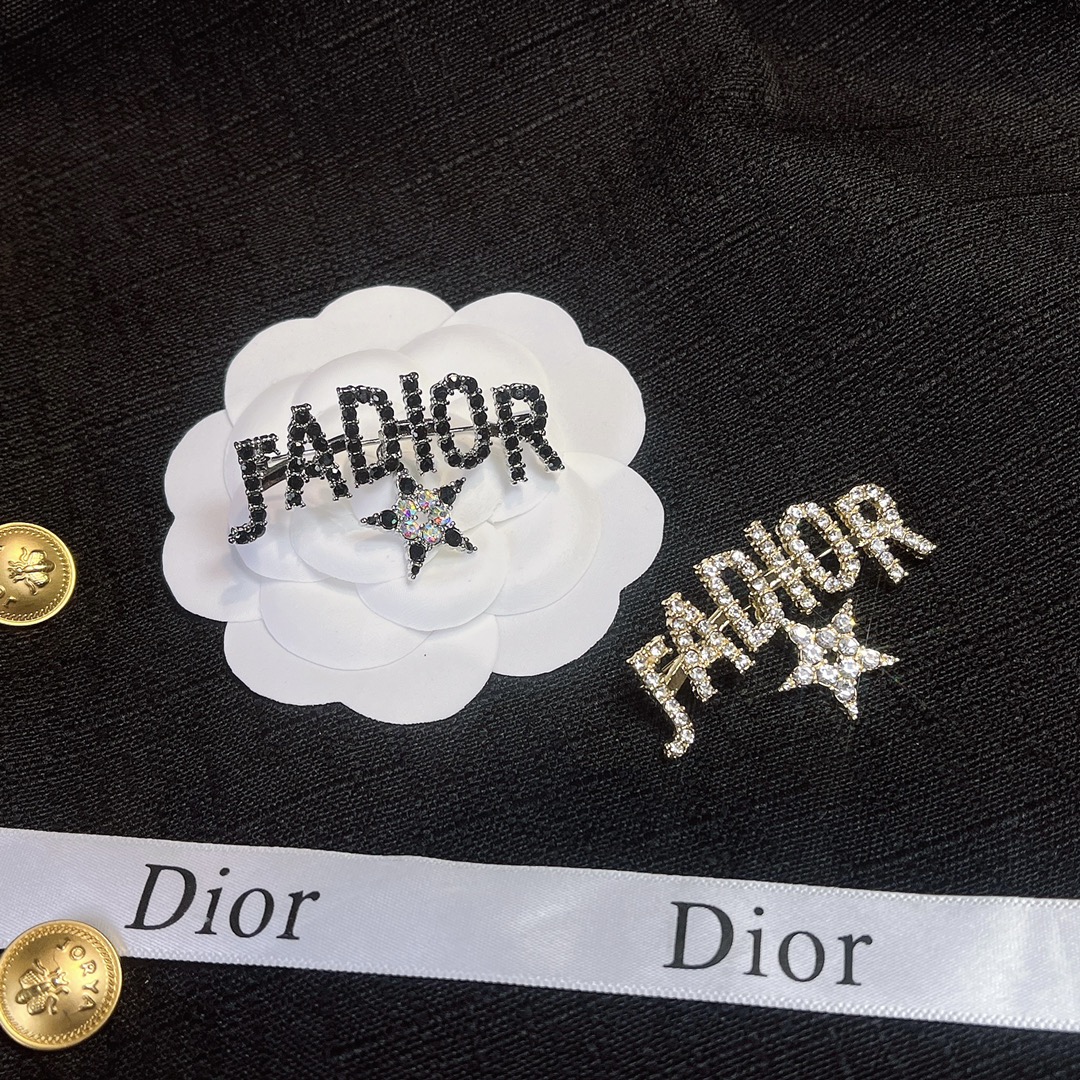 D115  Dior brooch