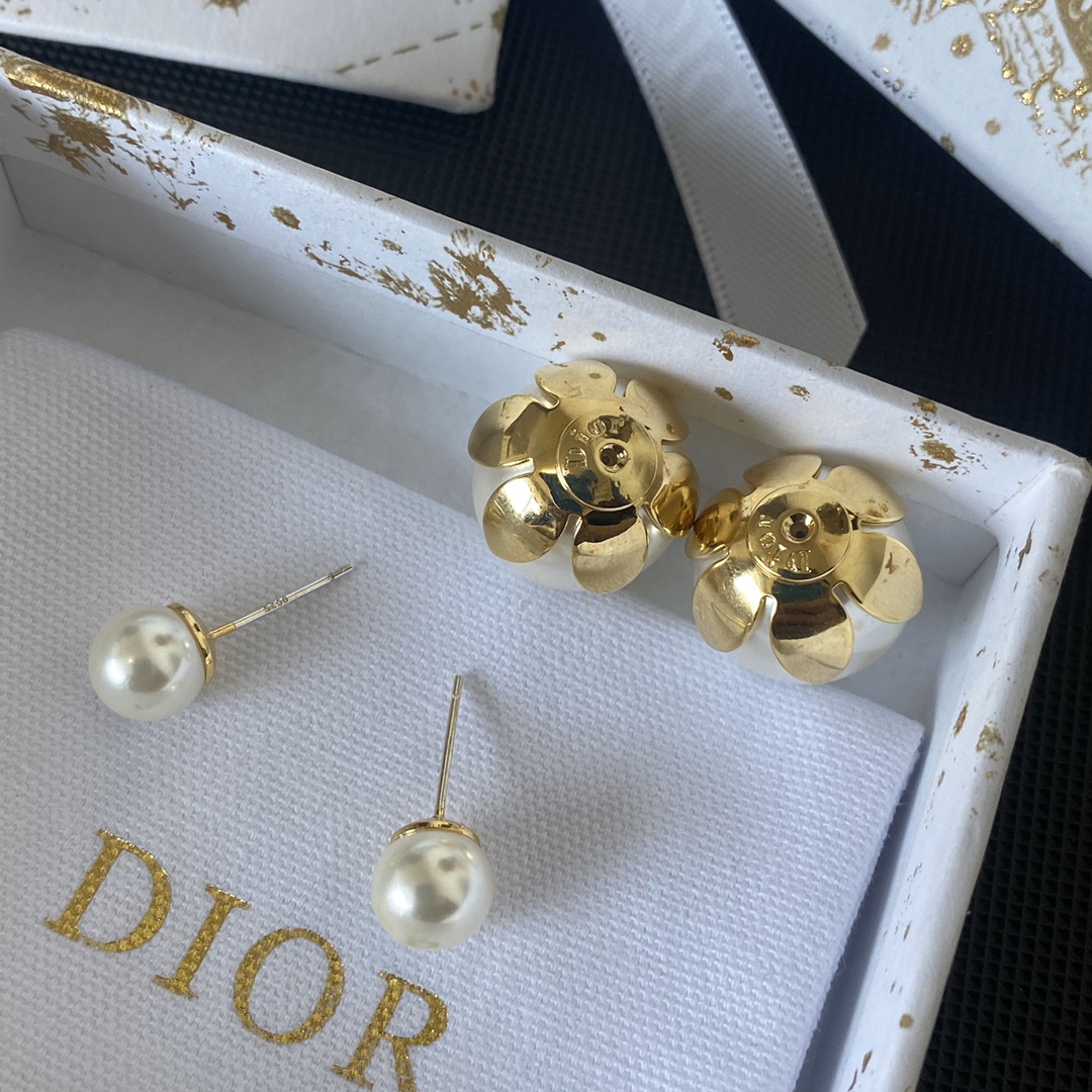 A748  Dior earrings