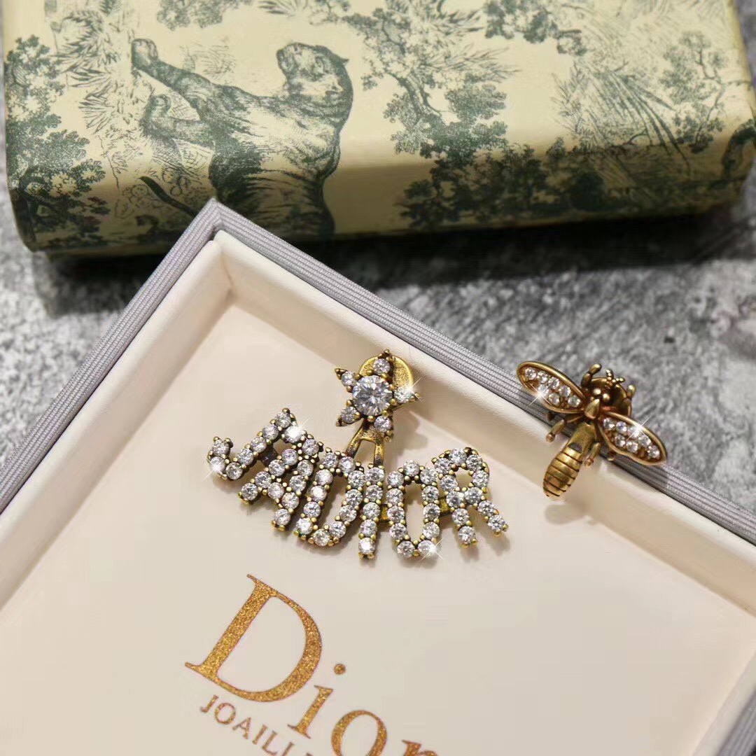 A151 Dior earrings
