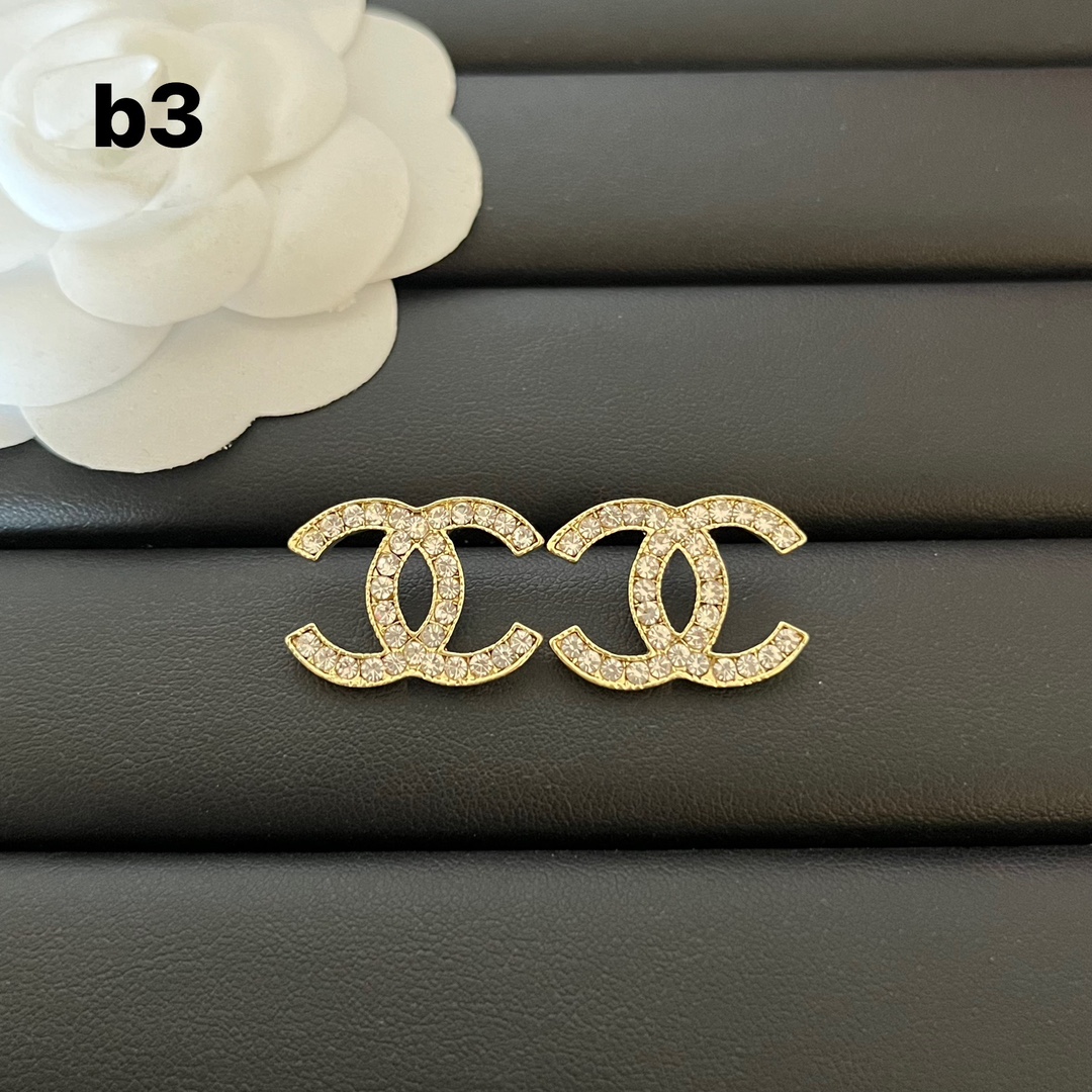 b3 Chanel earrings cc