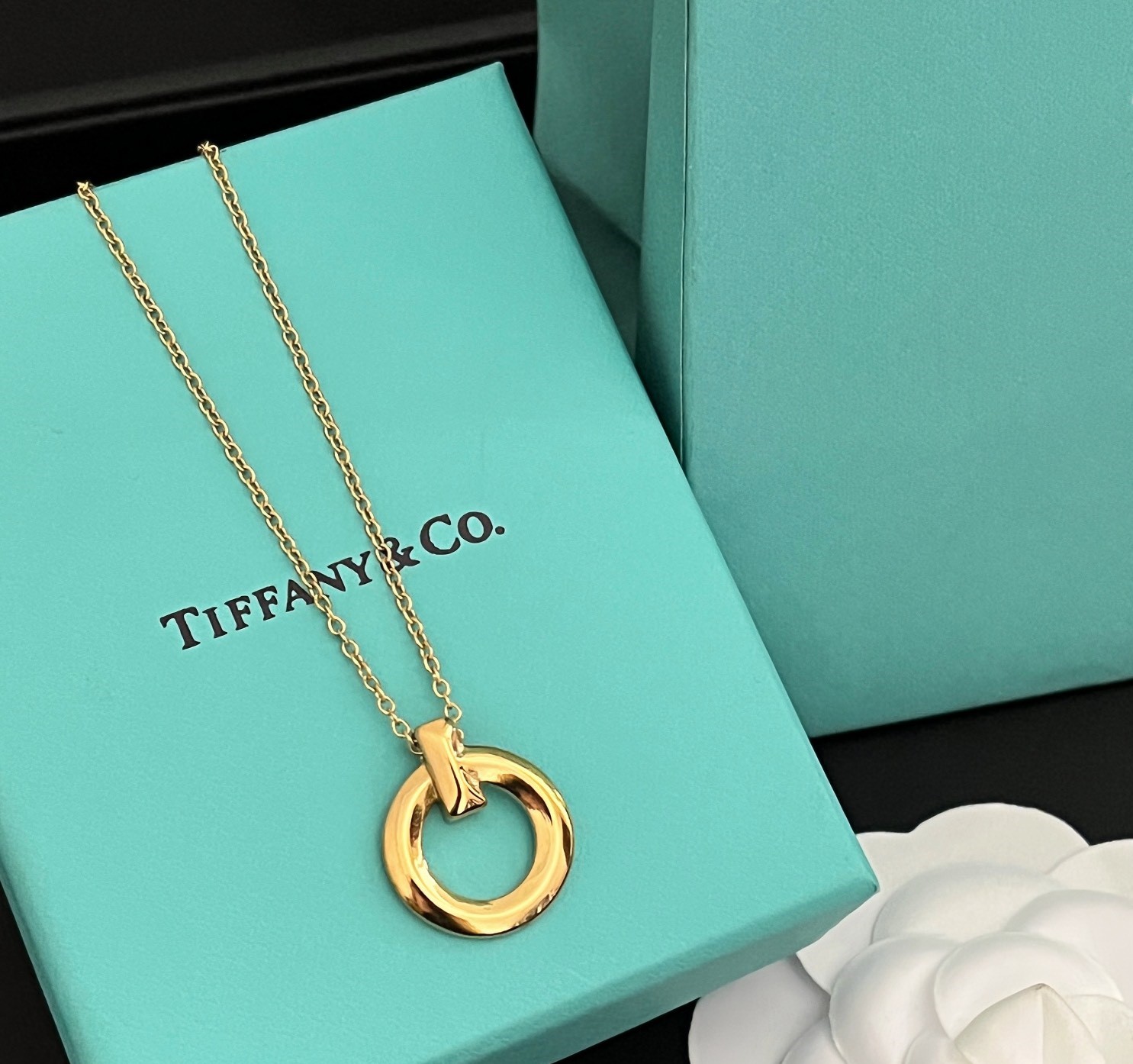 X573 Tiffany necklace