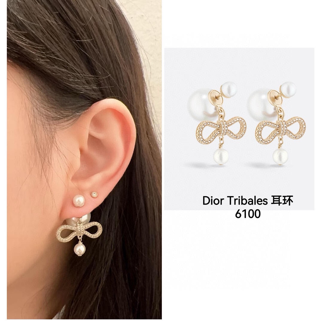 A1065 Dior earrings