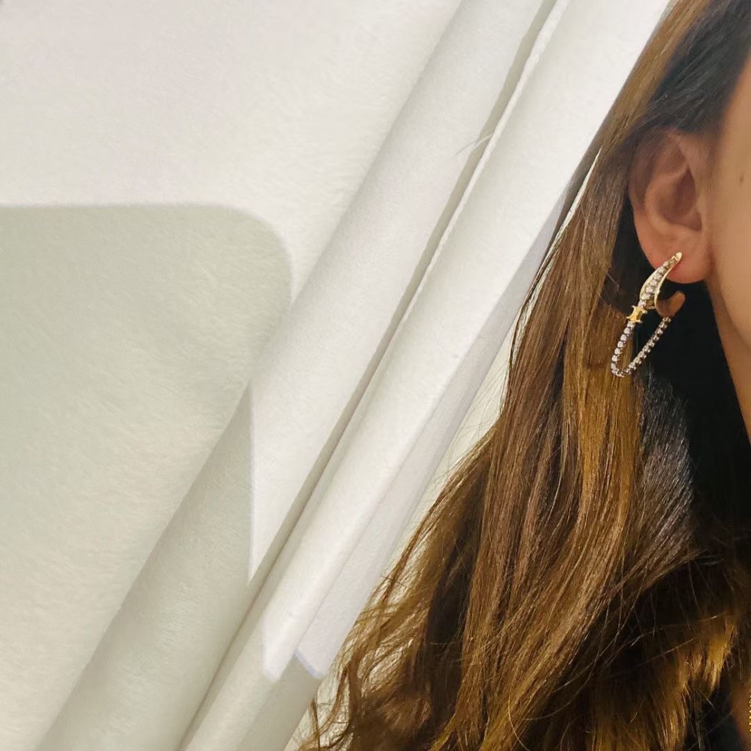 A1560 CELINE earrings