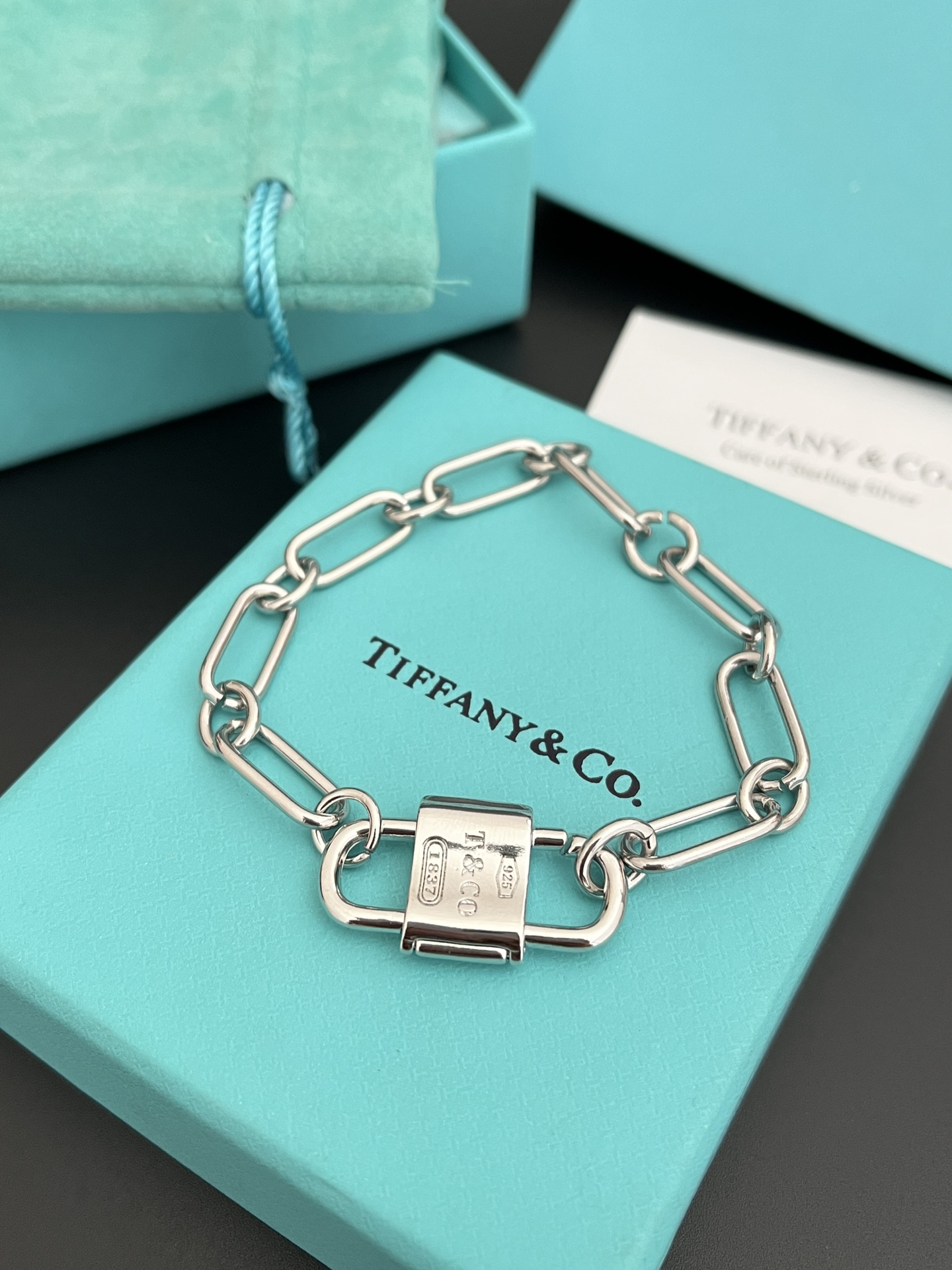X655 Tiffany Large link necklace