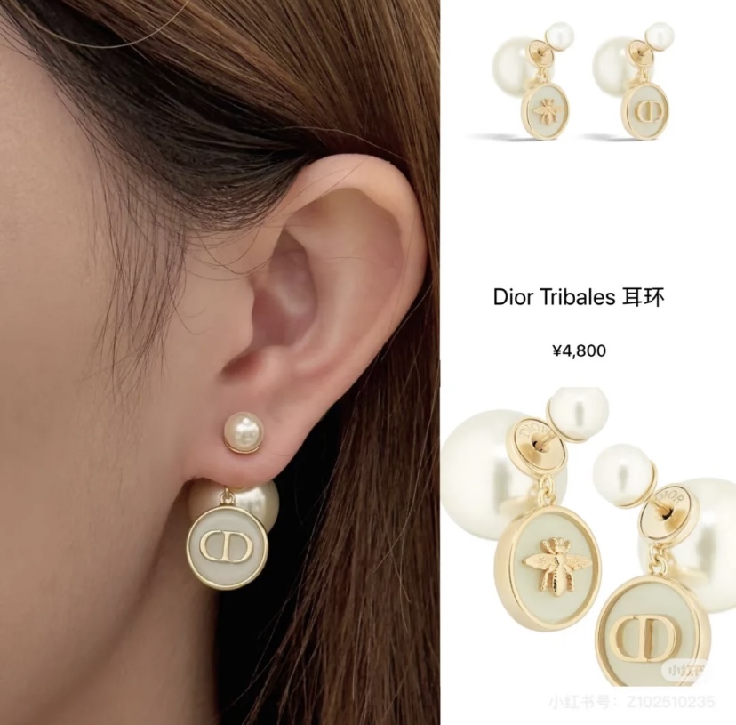 A1092 Dior Tribales earrings