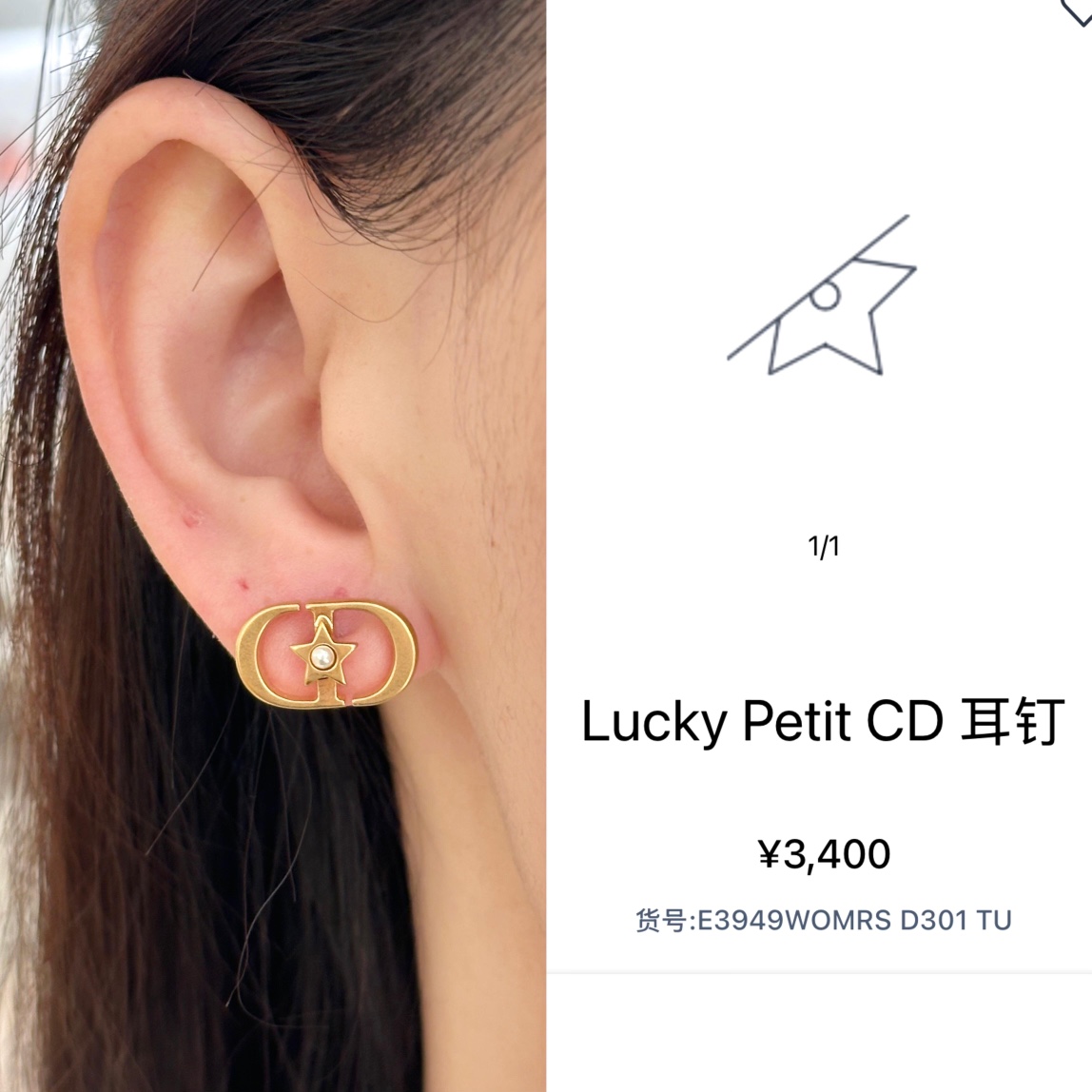 A1120 Dior CD earrings