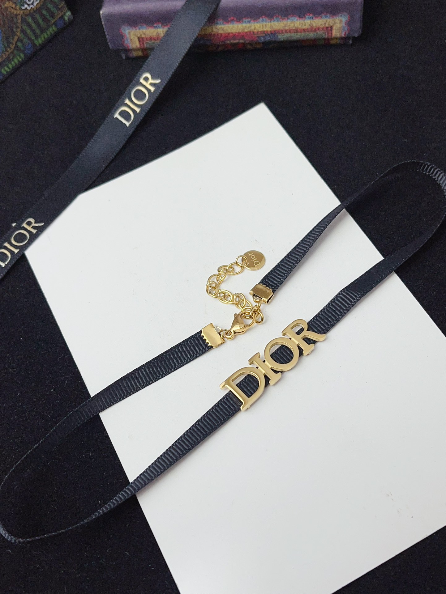 X696 Dior titanium steel choker necklace